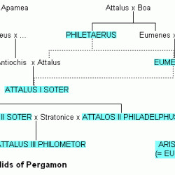Family tree of the Attalids