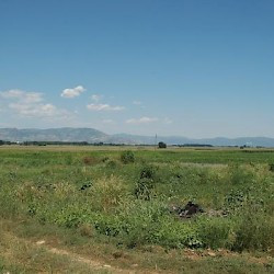 Philippi, Battlefield, Marsh