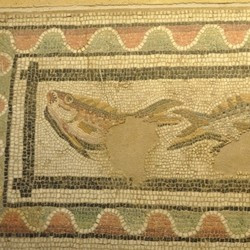 Thessaloniki, Mosaic with Fish