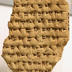 Susa, Inscription DSe