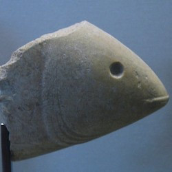 Susa, Stone fish