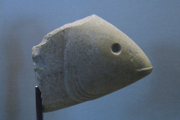 Susa, Stone fish