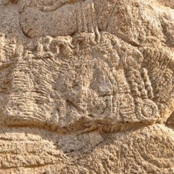 Taq-e Bostan, Investiture relief of Shapur II, detail: Julian