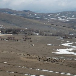 Mountain plain