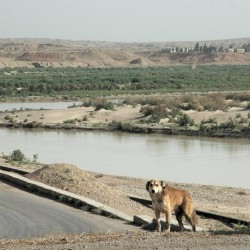 The river Marun