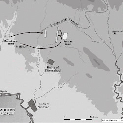 Map of the battle of Gaugamela