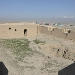 Tepe Nush-e Jan, Apadana