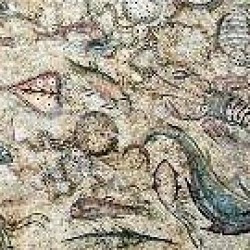 Tarraco, Mosaic with fish
