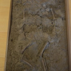 Valkenburg, Skeleton of a baby