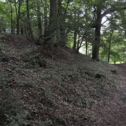 Thuin, Bois du Grand Bon Dieu, Northeastern slope of the oppidum