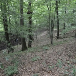 Thuin, Bois du Grand Bon Dieu, Northern slope of the oppidum