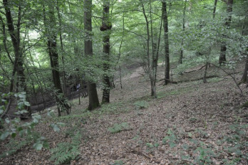 Thuin, Bois du Grand Bon Dieu, Northern slope of the oppidum