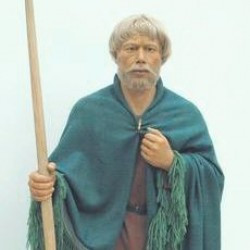 Reconstruction of a Germanic warrior