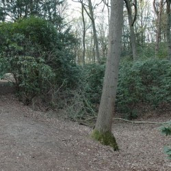 Nijmegen, Aqueduct, Canal in the Marienbosch Park