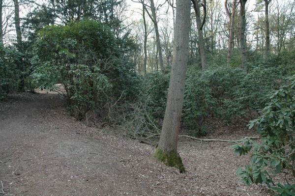 Nijmegen, Aqueduct, Canal in the Marienbosch Park