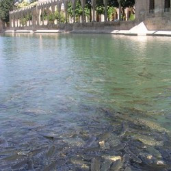 Edessa, Fish pool