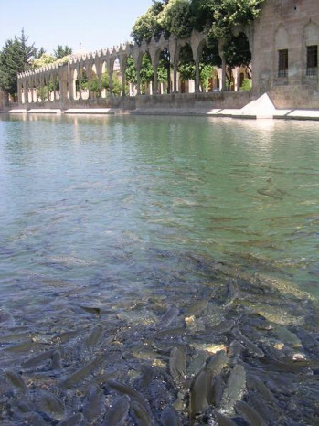 Edessa, Fish pool