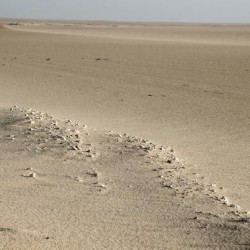 The desert north of Awjila