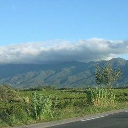 The Pyrenees