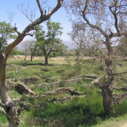 Bhir Mound