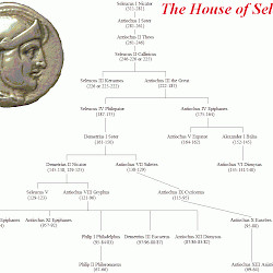 Family tree of the Seleucids