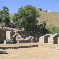 Mohra Moradu, court (wild olive in the background)