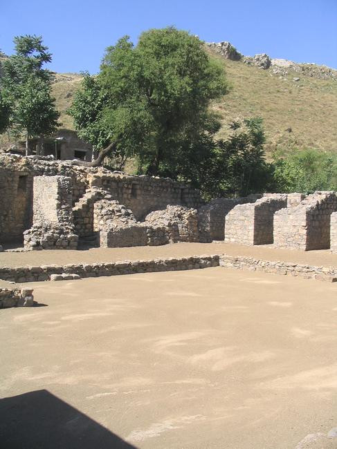 Mohra Moradu, court (wild olive in the background)