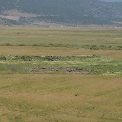 Zincirli, Excavations