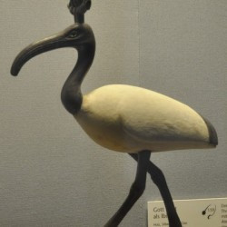 Thoth, represented as an ibis