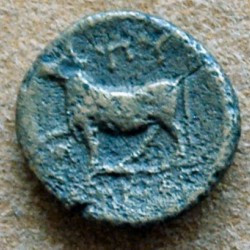 Coin of the Bosphorus
