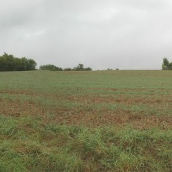 Marktbreit, Panorama