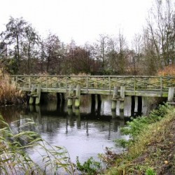 Leidschendam, Rietvink, Bridge