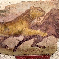 Augusta Emerita, Theater, Wall painting of a lion and an onager