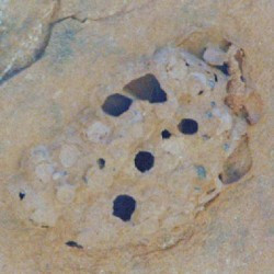 Wadi Awis, Bees' nest