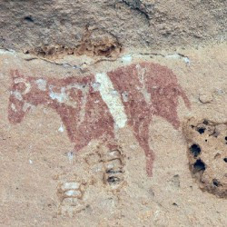 Wadi Imla, Horse