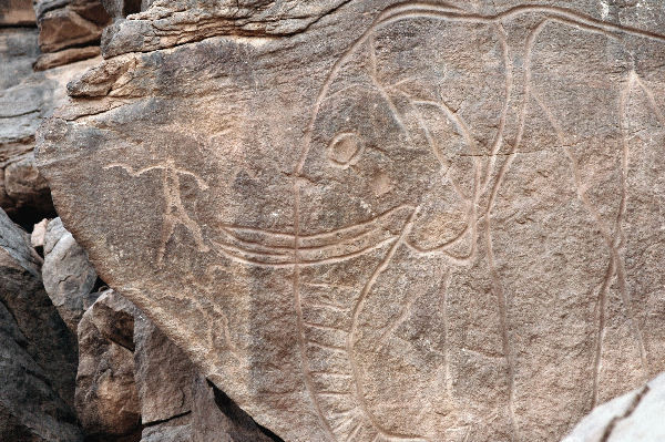 Wadi Mathendous, Small hunter, big elephant