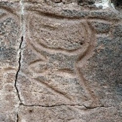 Wadi Mathendous, Bull
