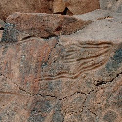 Wadi Mathendous, Crocodile