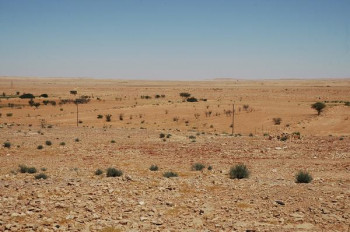 Wadi Ghirza with dams