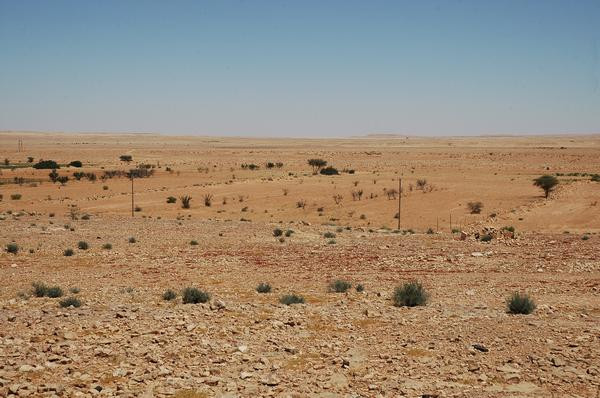 Wadi Ghirza with dams
