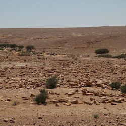 Wadi Ghirza