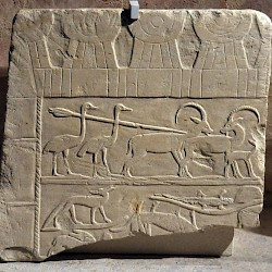 Relief with a hunt