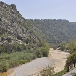 Nahr al-Kalb