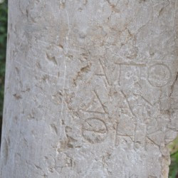 Damascus, Milestone, inscription mentioning Apollodorus