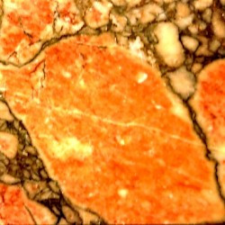 Africano (or Lucullan) Marble from Asia Minor