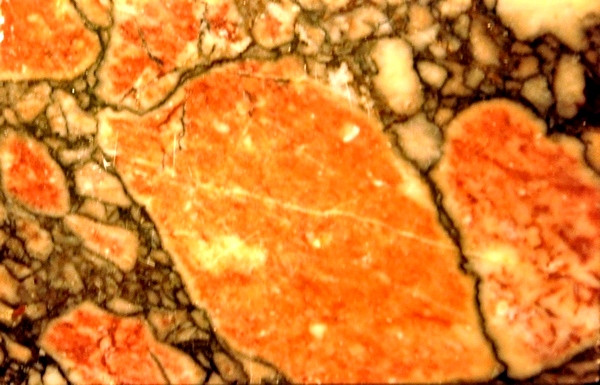 Africano (or Lucullan) Marble from Asia Minor
