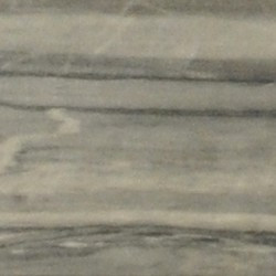 Bardiglio (Carrara) Marble from northwestern Italy (Rome, Palatine)