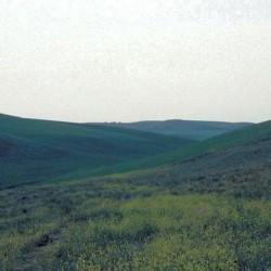 Cynoscephalae, Possible location of the battle