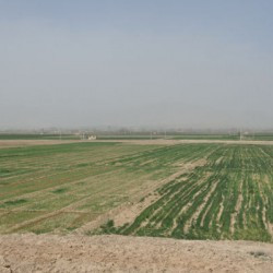 Tell Malyan, Plain