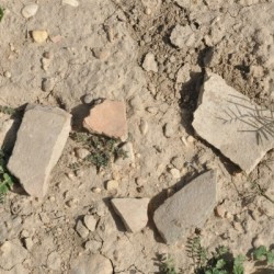 Tell Malyan, Sherds